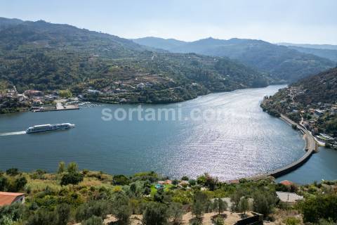 Terreno Para Construção  Venda em Santa Cruz do Douro e São Tomé de Covelas,Baião