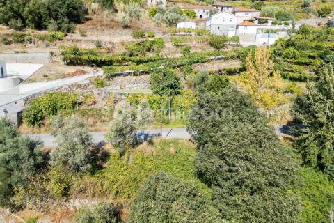 Terreno Para Construção  Venda em Santa Cruz do Douro e São Tomé de Covelas,Baião