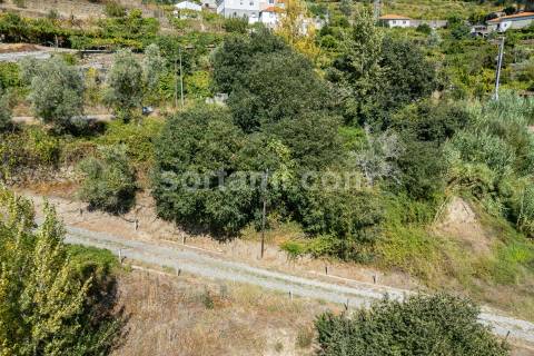 Terreno Para Construção  Venda em Santa Cruz do Douro e São Tomé de Covelas,Baião