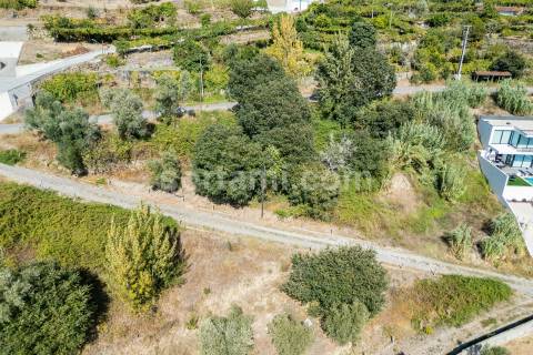 Terreno Para Construção  Venda em Santa Cruz do Douro e São Tomé de Covelas,Baião