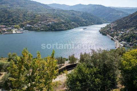 Terreno Para Construção  Venda em Santa Cruz do Douro e São Tomé de Covelas,Baião