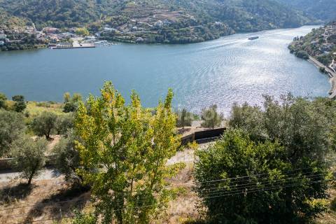 Terreno Para Construção  Venda em Santa Cruz do Douro e São Tomé de Covelas,Baião