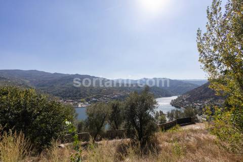 Terreno Para Construção  Venda em Santa Cruz do Douro e São Tomé de Covelas,Baião