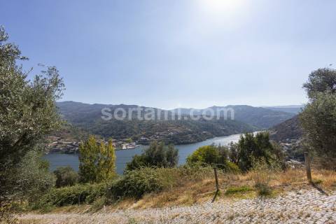 Terreno Para Construção  Venda em Santa Cruz do Douro e São Tomé de Covelas,Baião