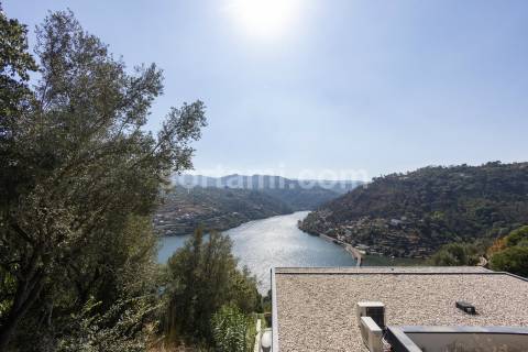 Terreno Para Construção  Venda em Santa Cruz do Douro e São Tomé de Covelas,Baião