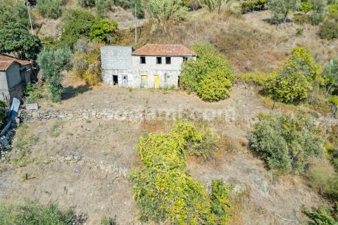 Terreno Para Construção  Venda em Santa Cruz do Douro e São Tomé de Covelas,Baião