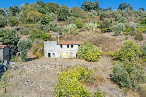 Terreno Para Construção  Venda em Santa Cruz do Douro e São Tomé de Covelas,Baião