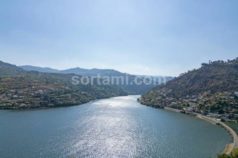 Terreno Para Construção  Venda em Santa Cruz do Douro e São Tomé de Covelas,Baião
