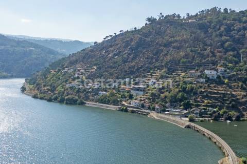 Terreno Para Construção  Venda em Santa Cruz do Douro e São Tomé de Covelas,Baião