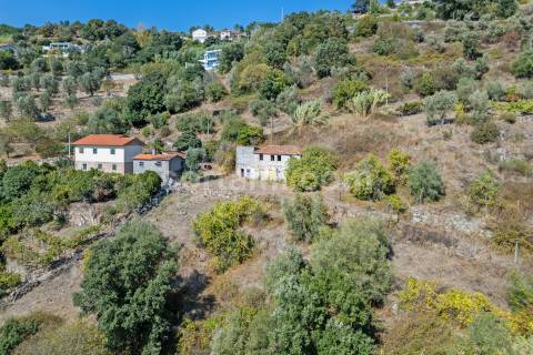 Terreno Para Construção  Venda em Santa Cruz do Douro e São Tomé de Covelas,Baião