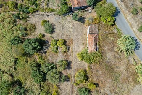 Terreno Para Construção  Venda em Santa Cruz do Douro e São Tomé de Covelas,Baião