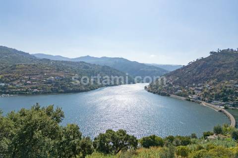 Terreno Para Construção  Venda em Santa Cruz do Douro e São Tomé de Covelas,Baião