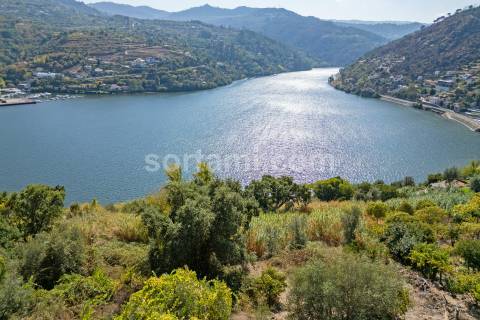 Terreno Para Construção  Venda em Santa Cruz do Douro e São Tomé de Covelas,Baião