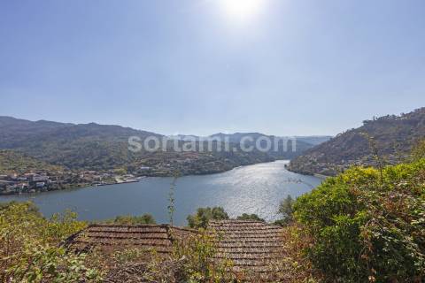 Terreno Para Construção  Venda em Santa Cruz do Douro e São Tomé de Covelas,Baião