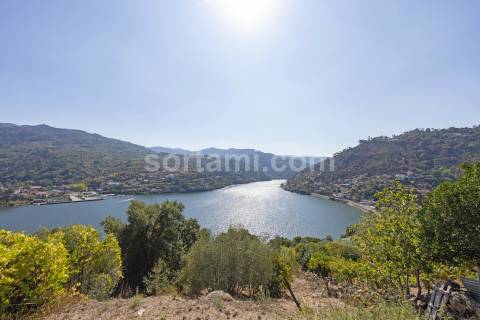 Terreno Para Construção  Venda em Santa Cruz do Douro e São Tomé de Covelas,Baião