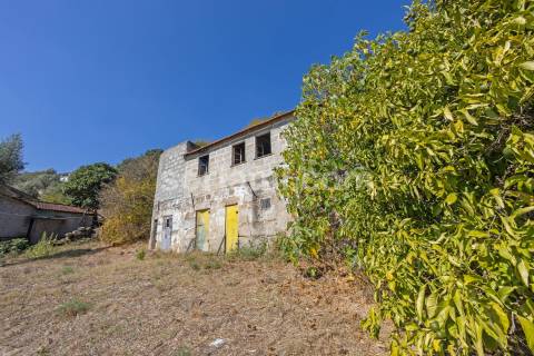 Terreno Para Construção  Venda em Santa Cruz do Douro e São Tomé de Covelas,Baião