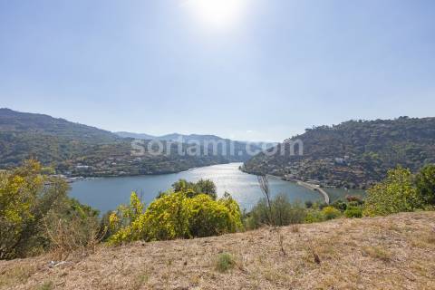 Terreno Para Construção  Venda em Santa Cruz do Douro e São Tomé de Covelas,Baião