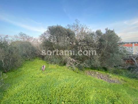 Terreno Para Construção  Venda em Ferragudo,Lagoa (Algarve)