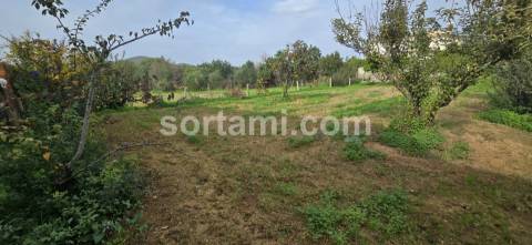 Terreno Para Construção  Venda em Almancil,Loulé