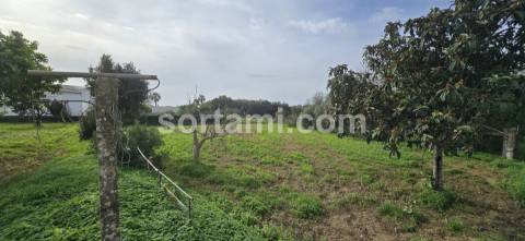 Terreno Para Construção  Venda em Almancil,Loulé