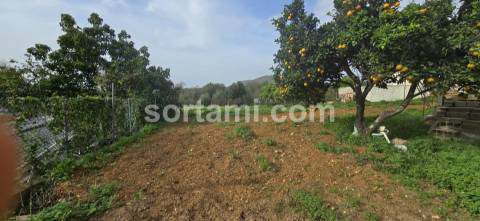 Terreno Para Construção  Venda em Almancil,Loulé