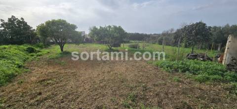 Terreno Para Construção  Venda em Almancil,Loulé