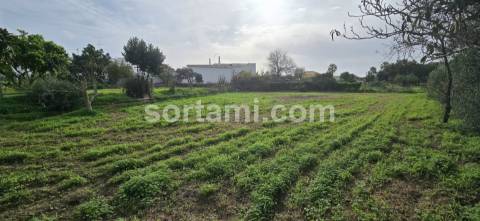Terreno Para Construção  Venda em Almancil,Loulé