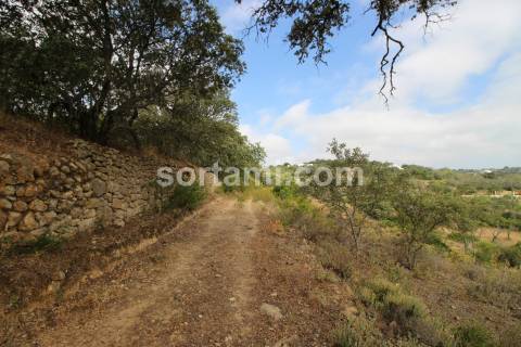 Terreno Para Construção  Venda em Loulé (São Clemente),Loulé