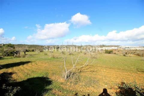 Terreno Rústico  Venda em Algoz e Tunes,Silves