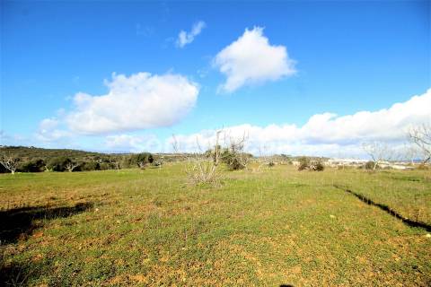 Terreno Rústico  Venda em Algoz e Tunes,Silves