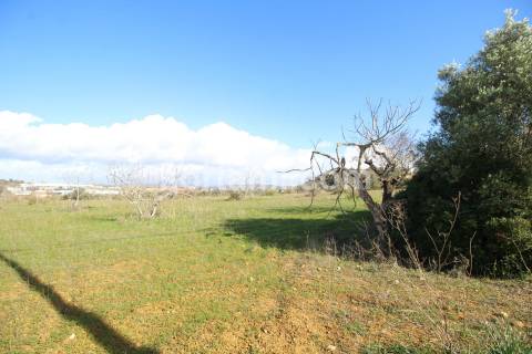 Terreno Rústico  Venda em Algoz e Tunes,Silves