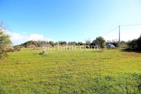 Terreno Rústico  Venda em Algoz e Tunes,Silves