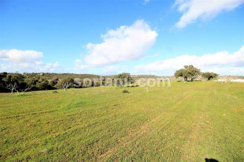 Terreno Rústico  Venda em Algoz e Tunes,Silves