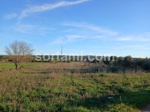 Terreno Rústico  Venda em São Bartolomeu de Messines,Silves