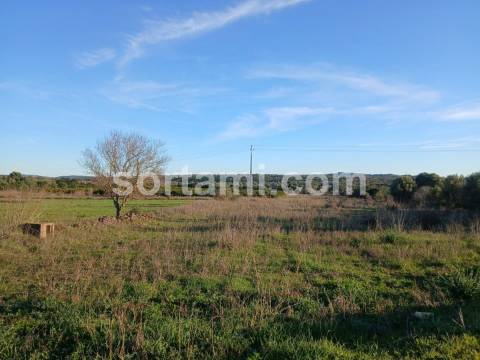 Terreno Rústico  Venda em São Bartolomeu de Messines,Silves