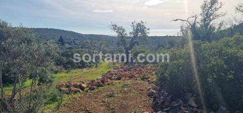 Moradia Devoluta T2 Venda em Moncarapacho e Fuseta,Olhão