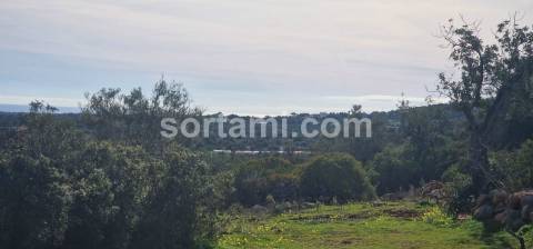 Moradia Devoluta T2 Venda em Moncarapacho e Fuseta,Olhão