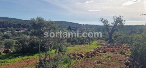 Moradia Devoluta T2 Venda em Moncarapacho e Fuseta,Olhão