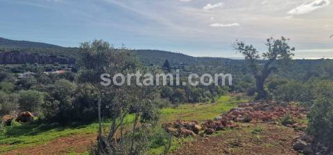 Moradia Devoluta T2 Venda em Moncarapacho e Fuseta,Olhão