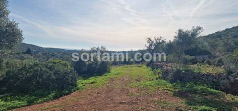 Moradia Devoluta T2 Venda em Moncarapacho e Fuseta,Olhão