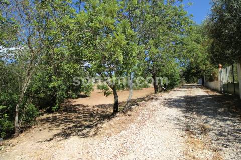 Terreno Rústico  Venda em Santa Bárbara de Nexe,Faro