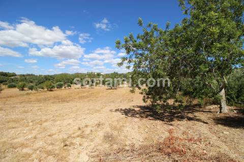 Terreno Rústico  Venda em Santa Bárbara de Nexe,Faro