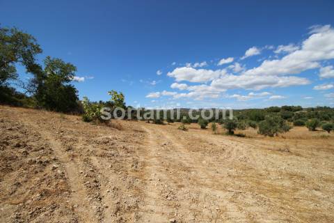 Terreno Rústico  Venda em Santa Bárbara de Nexe,Faro