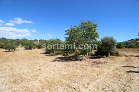 Terreno Rústico  Venda em Santa Bárbara de Nexe,Faro