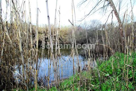 Terreno Para Construção  Venda em São Marcos da Serra,Silves