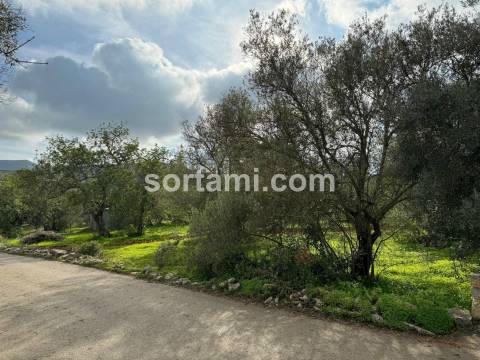 Terreno Para Construção  Venda em São Brás de Alportel,São Brás de Alportel