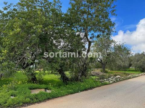 Terreno Para Construção  Venda em São Brás de Alportel,São Brás de Alportel