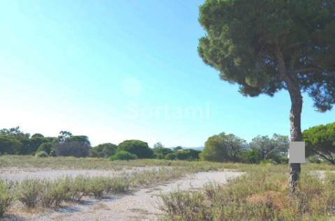 Terreno Rústico  Venda em Quarteira,Loulé