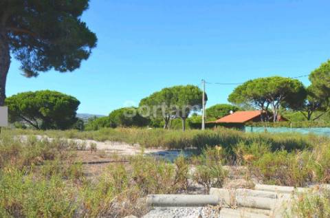 Terreno Rústico  Venda em Quarteira,Loulé