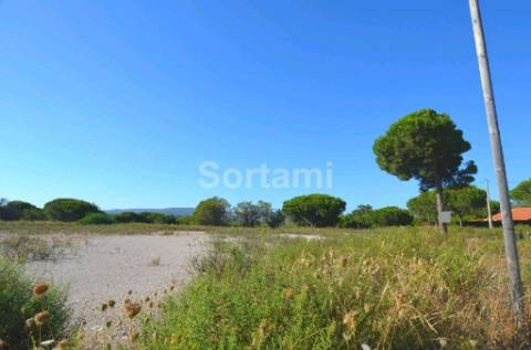 Terreno Rústico  Venda em Quarteira,Loulé
